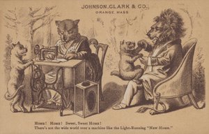 Johnson, Clark & Co - American School